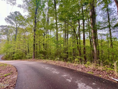 Lake Lot For Sale in Madisonville, Tennessee