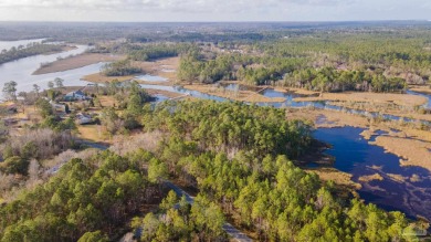 Lake Lot For Sale in Milton, Florida