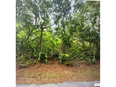 Port Charlotte Waterway Area Lot For Sale in Punta Gorda Florida