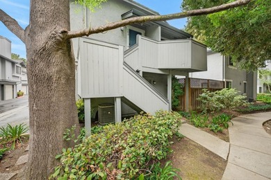 Centrally located in San Jose's Silicon Valley, walking distance - photo 19