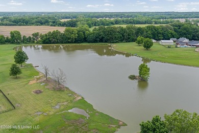 Welcome to 1975 Green Village Drive, where lakefront living and - photo 47
