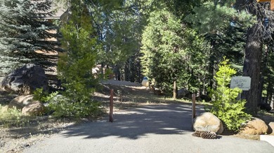 Refined Single-Story Custom Home in Prestigious Lake Almanor - photo 47