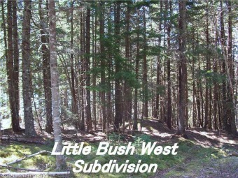 Lake Lot For Sale in East Machias, Maine