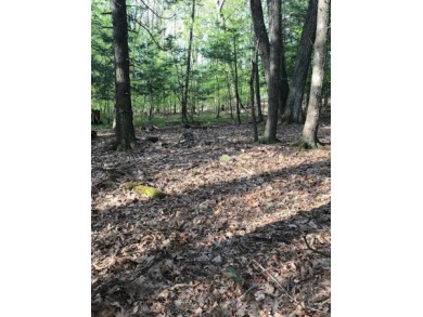 Coxing Kill  Acreage For Sale in Accord New York