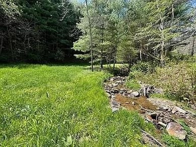 (private lake, pond, coastal) Acreage For Sale in Mouth of Wilson Virginia