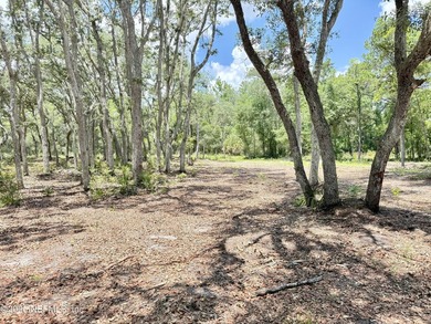 Build your dream home on this 2.41-acre partially cleared double - photo 12