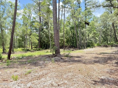 Build your dream home on this 2.41-acre partially cleared double - photo 13