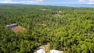 BLANK CANVAS AND SUPER VERSATILE ! 4 SINGLE FAMILY LOTS, 2 - photo 6
