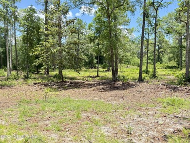 Build your dream home on this 2.41-acre partially cleared double - photo 17