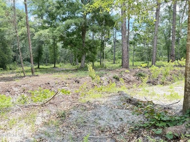 Build your dream home on this 2.41-acre partially cleared double - photo 21