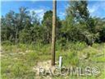 Withlacoochee River - Marion County Lot For Sale in Dunnellon Florida