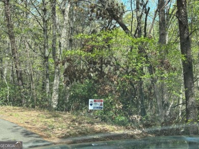 Lake Lot For Sale in Ellijay, Georgia