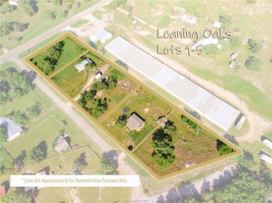 Lake Home For Sale in Somerville, Texas