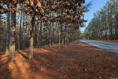 Lake Granada Lot For Sale in Hot Springs Village Arkansas