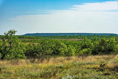 Owner financing available-secure a rare opportunity to own this - photo 8