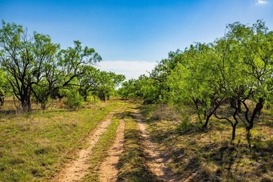 Owner financing available-secure a rare opportunity to own this - photo 10