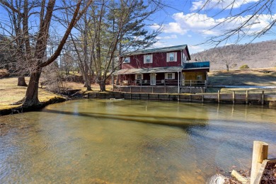 (private lake, pond, creek) Home For Sale in Mills River North Carolina