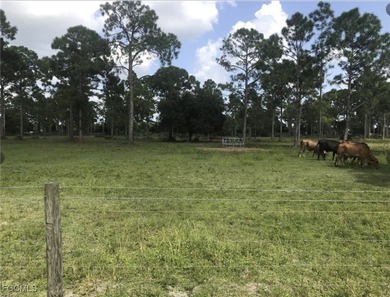 Cape Coral Area Acreage For Sale in Cape Coral Florida