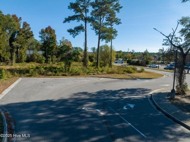 Vacant land ready for development on Carolina Beach Road near - photo 34