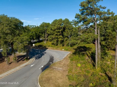 Vacant land ready for development on Carolina Beach Road near - photo 35