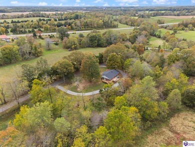 (private lake, pond, creek) Home For Sale in Campbellsville Kentucky