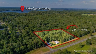 Lake Cypress Springs Home For Sale in Scroggins Texas