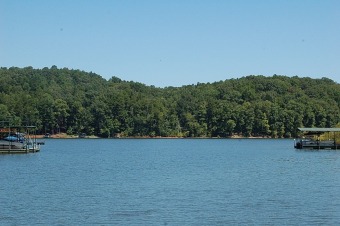 Lake Lot SOLD! in Martin, Georgia