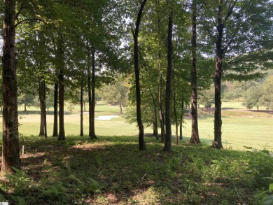 North Saluda Reservoir Lot For Sale in Travelers Rest South Carolina