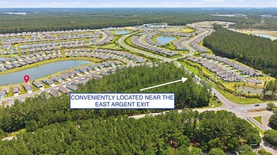 Nestled on a premium lot with a beautiful, serene lagoon view - photo 29