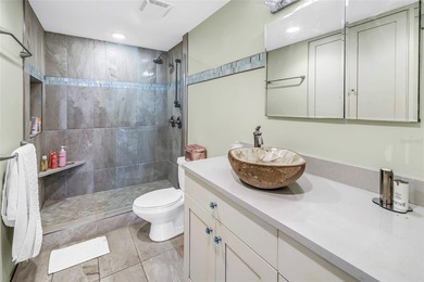Beautiful condo in Downtown St Petersburg, with spectacular - photo 31