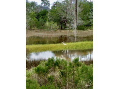 Experience breathtaking views of the Franklin Creek tidal marsh - photo 47