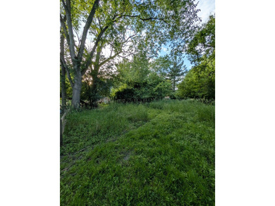 Ready to build your dream home?! Great Vacant Land is just - photo 7