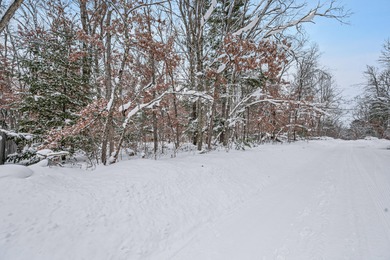 Spruce Lake  Lot Sale Pending in Baldwin Michigan