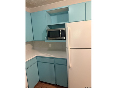This 2 bed 2 bath home with 1459 sq ft of living space also has - photo 10