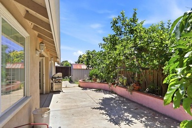 Welcome to 1347 Bertland Court, San Jose, CA 95131! Nestled on a - photo 43