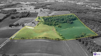 (private lake, pond, creek) Home For Sale in Greensburg Kentucky