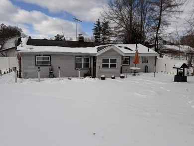 Tittabawassee River Home For Sale in Sanford Michigan