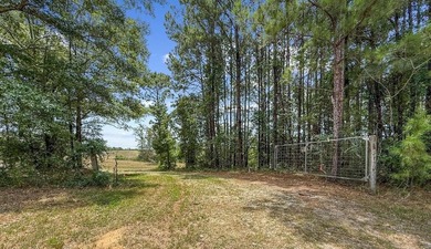 (private lake, pond, coastal) Lot For Sale in Clayton Alabama