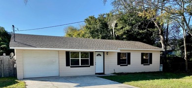 (private lake, pond, creek) Home For Sale in Tavares Florida