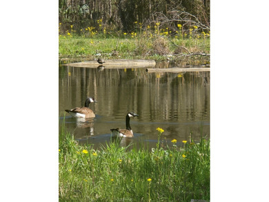 (private lake, pond, coastal) Acreage For Sale in Walker Louisiana