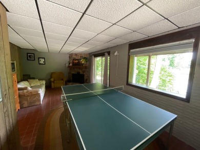 Raccoon Lake, Lakefront, Lakeview, Chalet - photo 26