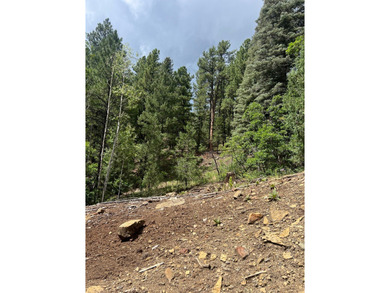 Lake Acreage For Sale in Pecos, New Mexico