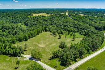Center Hill Lake Lot For Sale in Silver Point Tennessee