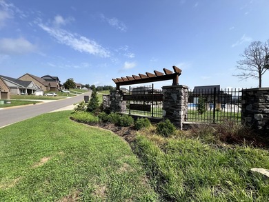 Lot 176 - Discover your dream property in the prestigious - photo 10