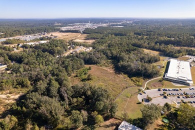 22.65+/- acres with 1,000+/- feet of frontage along Lamar - photo 11