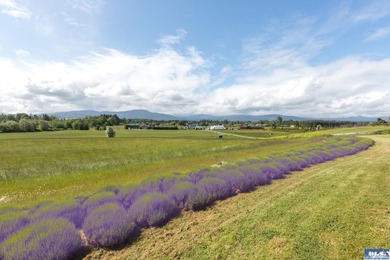 Incredible, sweeping Olympic Mountain Views from this home on - photo 37