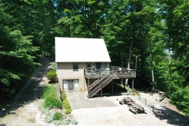 Raccoon Lake, Lakefront, Lakeview, Chalet - photo 2
