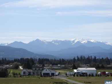Incredible, sweeping Olympic Mountain Views from this home on - photo 44