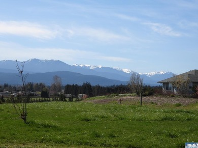 Incredible, sweeping Olympic Mountain Views from this home on - photo 45