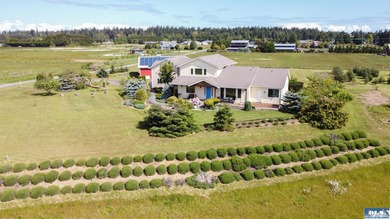 Incredible, sweeping Olympic Mountain Views from this home on - photo 47